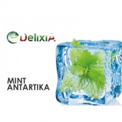 Aroma Delixia Mint Antartika 10ml