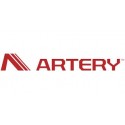 Artery