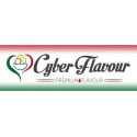 Cyber Flavour